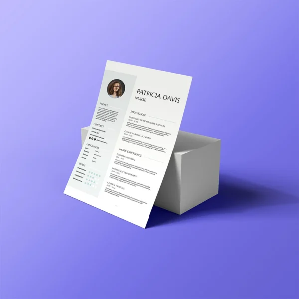 jasa pembuatan CV atau resume propesional